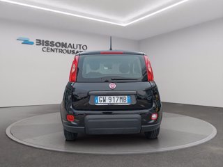 FIAT Panda 1.0 firefly hybrid s&s 70cv