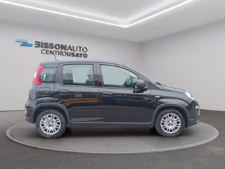 FIAT Panda 1.0 firefly hybrid s&s 70cv