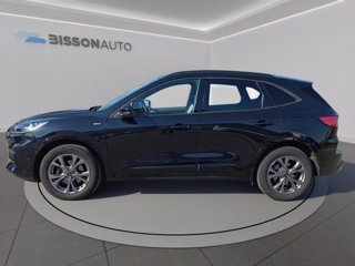 FORD Kuga 2.0 ecoblue st-line x awd 150cv auto