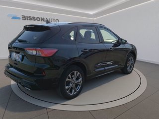 FORD Kuga 2.0 ecoblue st-line x awd 150cv auto