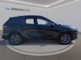 FORD Kuga 2.0 ecoblue st-line x awd 150cv auto