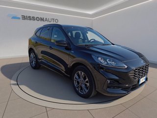 FORD Kuga 2.0 ecoblue st-line x awd 150cv auto