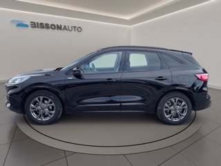 FORD Kuga 2.5 full hybrid st-line 2wd 190cv cvt