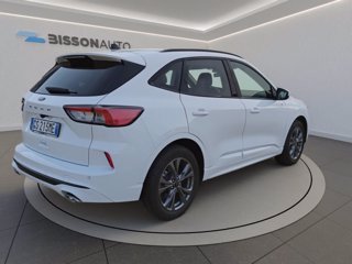 FORD Kuga 2.0 ecoblue st-line 2wd 120cv auto