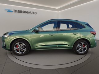 FORD Kuga 2.5 full hybrid st-line x 2wd 180cv auto