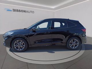 FORD Kuga 2.0 ecoblue st-line x 2wd 120cv auto