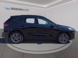FORD Kuga 2.0 ecoblue st-line x 2wd 120cv auto