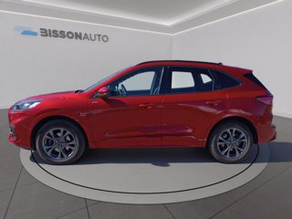 FORD Kuga 2.0 ecoblue st-line awd 120cv auto