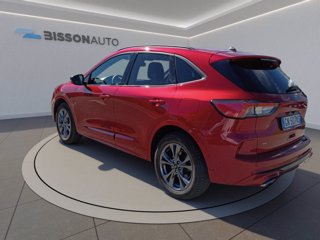 FORD Kuga 2.0 ecoblue st-line awd 120cv auto