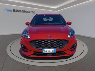 FORD Kuga 2.0 ecoblue st-line awd 120cv auto