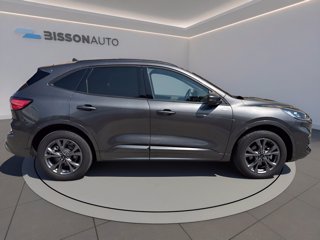 FORD Kuga 2.5 phev st-line 2wd 225cv cvt