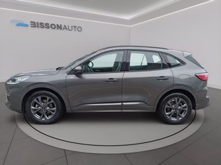 FORD Kuga 2.5 full hybrid st-line 2wd 190cv cvt