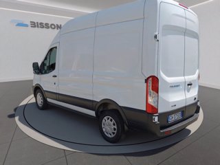 FORD Transit 350 2.0 tdci mhev 130cv trend l2h2 e6.2