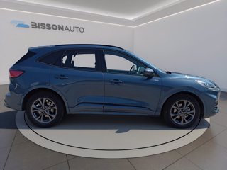 FORD Kuga 2.5 full hybrid ST-Line 2wd 190cv cvt