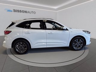 FORD Kuga 1.5 ecoblue st-line x 2wd 120cv auto