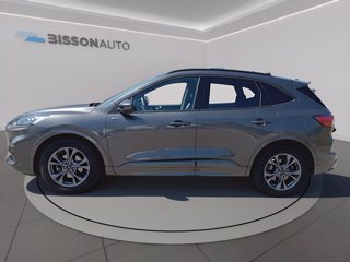 FORD Kuga 2.0 ecoblue st-line 2wd 120cv auto