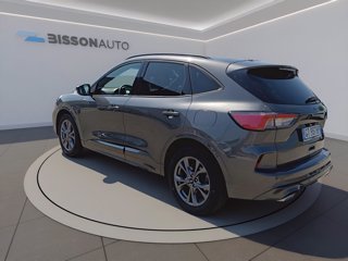 FORD Kuga 2.0 ecoblue st-line 2wd 120cv auto