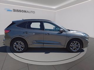 FORD Kuga 2.0 ecoblue st-line 2wd 120cv auto