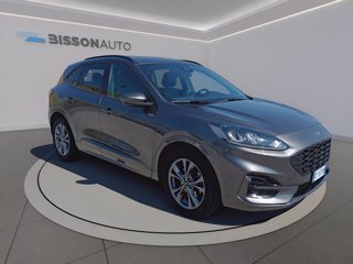 FORD Kuga 2.0 ecoblue st-line 2wd 120cv auto