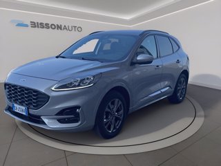 FORD Kuga 2.0 ecoblue st-line x awd 120cv auto