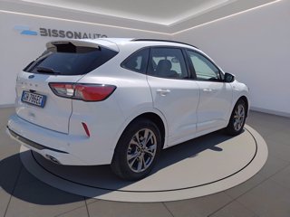 FORD Kuga 1.5 ecoblue st-line x 2wd 120cv auto