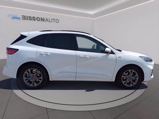 FORD Kuga 1.5 ecoblue st-line x 2wd 120cv auto