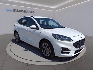 FORD Kuga 1.5 ecoblue st-line x 2wd 120cv auto